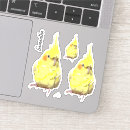 Search for cockatiel stickers Animals