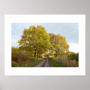 Search for oaks posters Nature