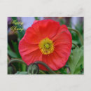 Search for happy spring postcards Red