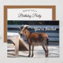 Search for profile invitations Black