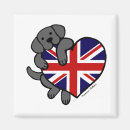 Search for brit magnets English