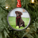 Search for labrador christmas tree decorations Puppy