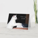 Search for cat piano cards Kitty