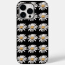 Search for daisies cases Pattern