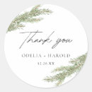 Search for pine branch stickers Watercolor