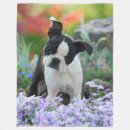 Search for animal head blankets Dog