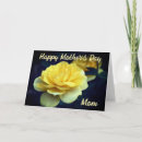 Search for flower mothers day cards Rose