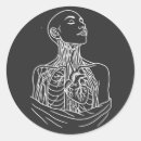 Search for lineart stickers Minimalist
