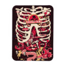 Search for caged magnets Rib cage