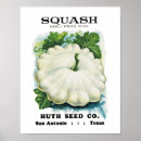 Search for squash posters Vintage