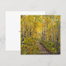 Search for aspen trees cards Nature
