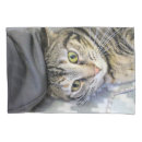 Search for furry pillowcases Pet