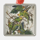 Search for audubon birds christmas tree decorations 1829
