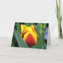 Search for yellow tulips thank you cards Red