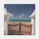 Search for turks magnets Tropical