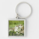 Search for affectionate key rings Side view