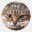 Search for cat attitude stickers Cats