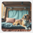 Search for bedroom labels Puppy