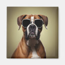Search for boxer dog magnets Cute