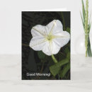 Search for good morning cards Friendship