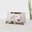 Search for hogs photography Co worker