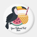 Search for toucans magnets Illustration