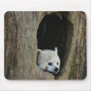 Search for red panda mousepads Nature