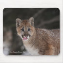 Search for puma electronics Wildlife