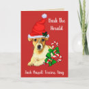 Search for jack russell terrier christmas cards Xmas