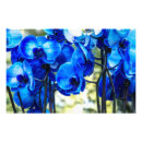 Search for blue orchid art Orchids