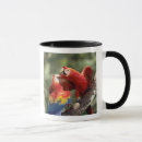 Search for pair mugs Parrot