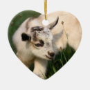 Search for baby goat christmas tree decorations Country