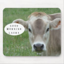 Search for nice mousepads Pretty
