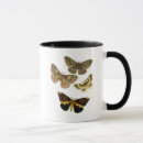 Search for plate mugs Moth