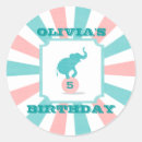 Search for turquoise stripe stickers Pink