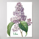 Search for lilacs posters Retro