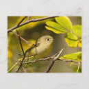 Search for fall foliage postcards Branch
