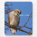 Search for tailed mousepads Falconry