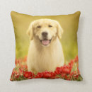 Search for red flower cushions Animal