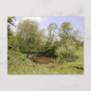 Search for hidden postcards Trees