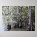 Search for bayou posters Lake