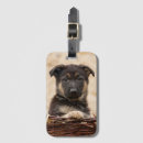 Search for basket travel accessories Cute