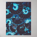 Search for nautilus shells posters Blue