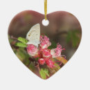 Search for blue butterfly christmas tree decorations Moth