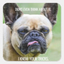 Search for funny dog quotes crafts party French bulldog