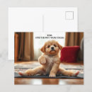 Search for stretching postcards Animals