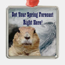 Search for groundhog christmas tree decorations Funny