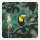 Search for np stickers Nature