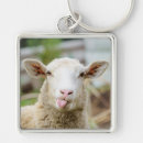 Search for shepherds square key rings Sheep
