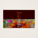 Search for orange brown photography Black eyed susan